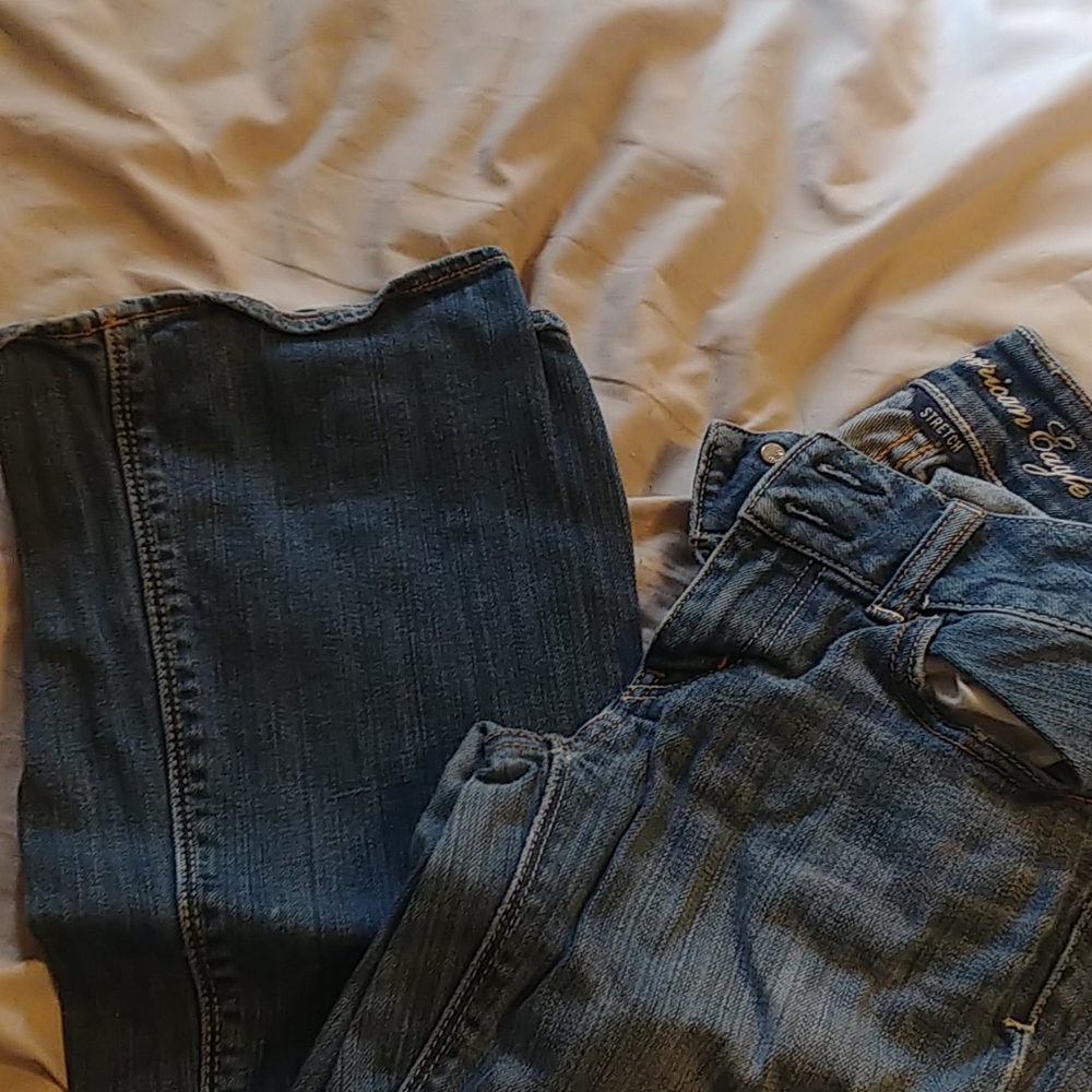 American eagle artist